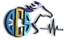 Enigma Clinical Solutions logo