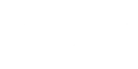 Fidelis Healthcare logo