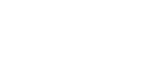 Leaders In Care logo