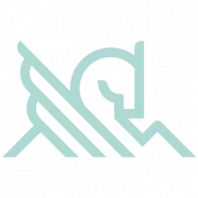 Pegasus Healthcare Solutions logo